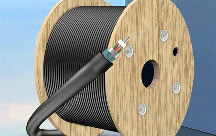 爱谱华顿(AIPU) GYTS型层绞式48芯单模室外铠装光缆 AP-G-01-48WB-S 黑色 定制